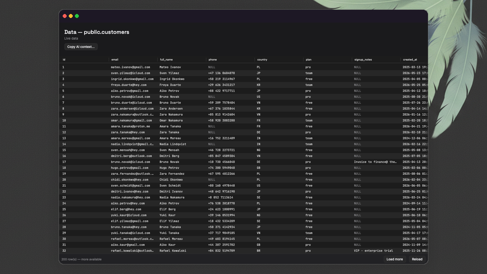 FeatherDB's data grid browsing a live customers table
