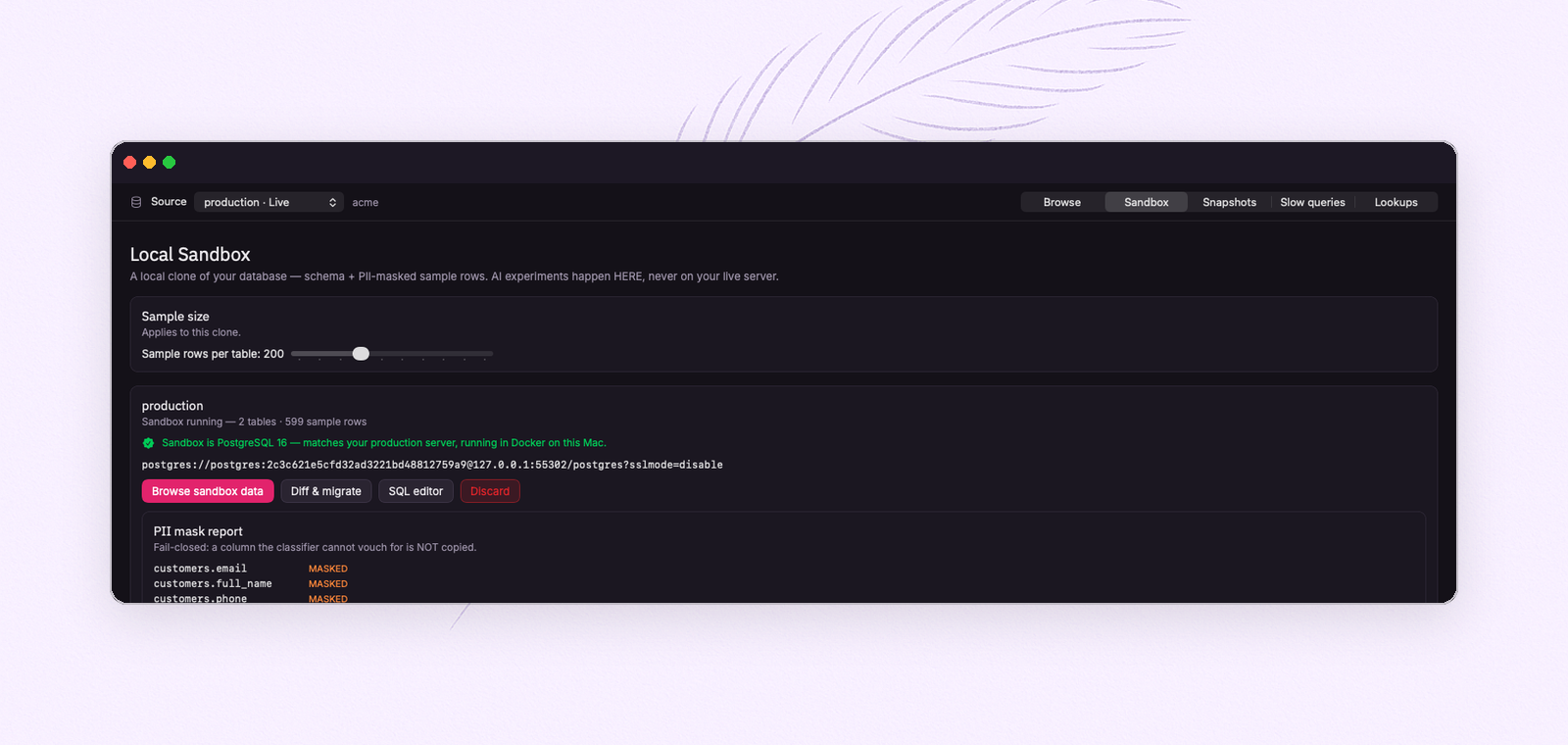 A running FeatherDB sandbox — PostgreSQL 16 in Docker, matching the production server — with its PII mask report: email, name and phone masked